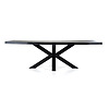 Afbeelding Boomstam tafel met spinpoot 240x100cm zwart 1