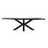 Boomstam tafel met spinpoot 240x100cm zwart