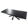 Afbeelding Boomstam tafel met spinpoot 300x100cm zwart 4