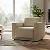 Afbeelding Fauteuil Heerenveen 2