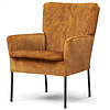 Afbeelding Fauteuil Hulst 1