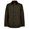 Herenjas mountusher Verdigris
