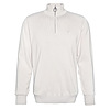 Afbeelding Herentrui Cotton half zip Mist 1