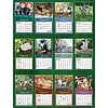 Afbeelding Kalender Love Of Cats 2