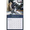 Afbeelding Kalender Love Of Cats 2