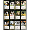 Afbeelding Kalender Love Of Dogs 3