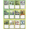 Afbeelding Kalender Songbirds 3