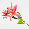 Afbeelding Kunstbloem lelie fuchsia 2