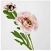 Afbeelding Kunstbloem ranonkel roze 2