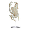 Afbeelding Ornament op voet Crab gebroken wit 2