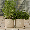 Afbeelding Portofino Herbs Kitchen Set 3