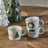 Afbeelding Riviera Maison Mok We Wish You A Merry Christmas 3