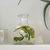 Afbeelding Riviera Maison Vino Aqua Decanter 2