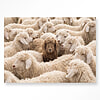 Afbeelding Wandkleed The Herd Met Frame 80x110 1
