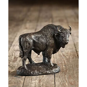 Beeld Wisent HR