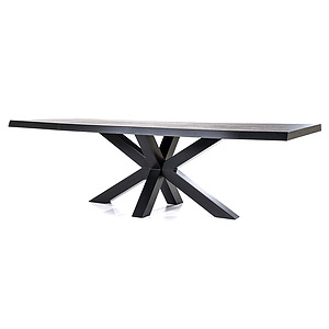 Boomstam tafel met spinpoot 300x100cm zwart
