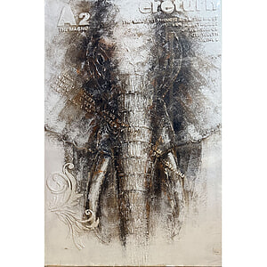 Canvas Schilderij Ereturn Olifant