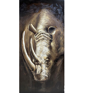 Canvas Schilderij Neushoorn 