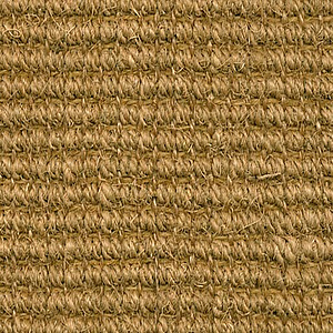 Cocos-boucle