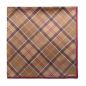 Dames Sjaal Kinsale Muted Tartan
