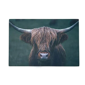 Deurmat Schotse Hooglander donker 75x50