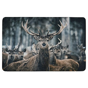 Deurmat winter hert