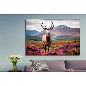 Glasschilderij Edelhert 120x80