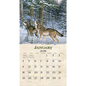 Kalender Beyond The Woods