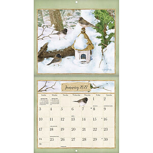 Kalender Birds In The Garden