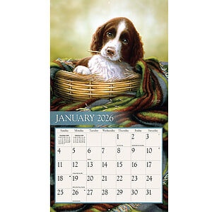 Kalender Love Of Dogs