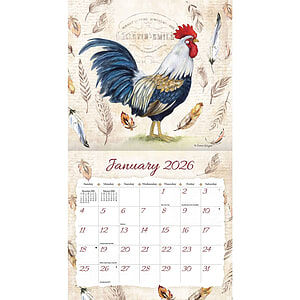 Kalender Proud Rooster