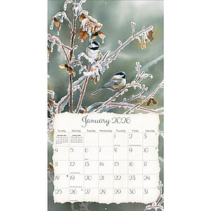 Kalender Songbirds