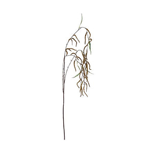 Kunstbes Mulberry Groen -2