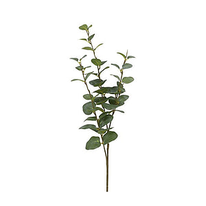 Kunstblad eucalyptus Cinerea groen S