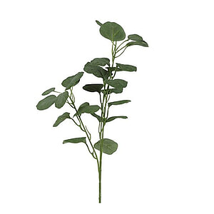 Kunstblad Eucalyptus groen div