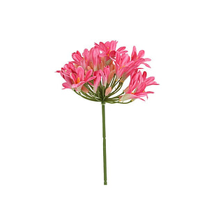 Kunstbloem Agapanthus Fuchsia