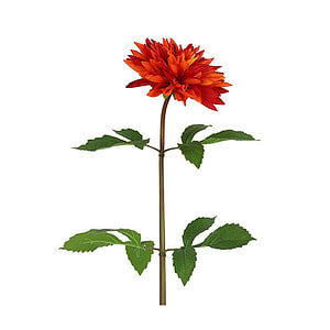 Kunstbloem Dahlia Oranje S 