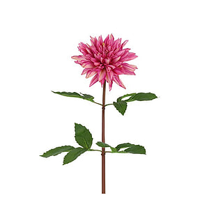 Kunstbloem Dahlia Roze S