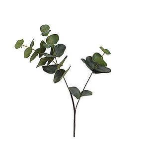 Kunstbloem Eucalyptus Cinerea groen S