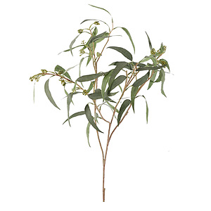 Kunstbloem Eucalyptus Spray