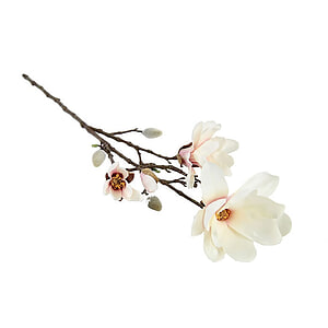 Kunstbloem Magnolia Chayca Creme M