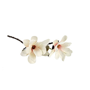 Kunstbloem Magnolia Chayca Creme S