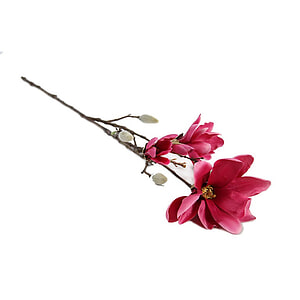 Kunstbloem Magnolia Chayca Fuchsia M