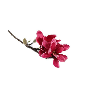 Kunstbloem Magnolia Chayca Fuchsia S