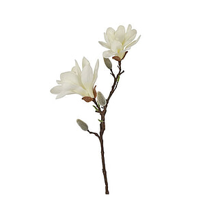 Kunstbloem Magnolia Chayca Wit S
