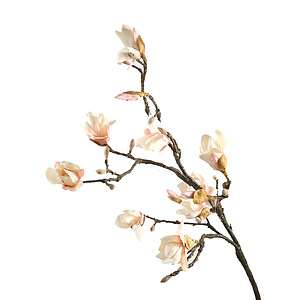 Kunstbloem Magnolia Leaf Branch