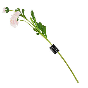Kunstbloem ranonkel roze