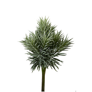 Kunstbloem Succulent spiky 32cm