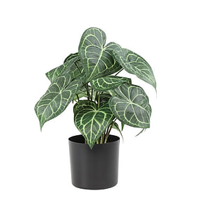 Kunstplant Arthurium Groen L