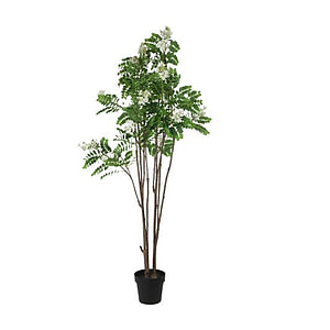 Kunstplant Cassia Glauca wit L